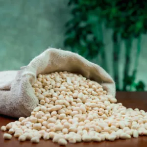 থাই চিনাবাদাম কাচা (Thai Raw Peanut)