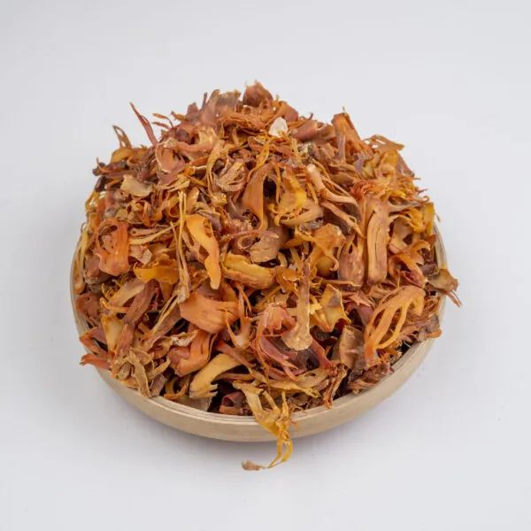 জয়িত্রি ( Joyotri)